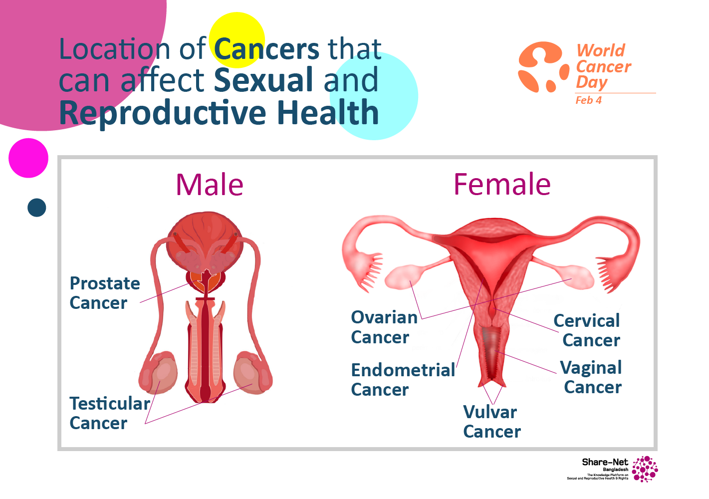 Cancers That Can Affect Your Sexual And Reproductive Health Share Net 